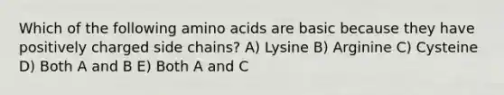 Which of the following <a href='https://www.questionai.com/knowledge/k9gb720LCl-amino-acids' class='anchor-knowledge'>amino acids</a> are basic because they have positively charged side chains? A) Lysine B) Arginine C) Cysteine D) Both A and B E) Both A and C