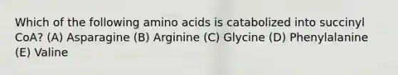 Which of the following <a href='https://www.questionai.com/knowledge/k9gb720LCl-amino-acids' class='anchor-knowledge'>amino acids</a> is catabolized into succinyl CoA? (A) Asparagine (B) Arginine (C) Glycine (D) Phenylalanine (E) Valine