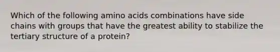 Which of the following amino acids combinations have side chains with groups that have the greatest ability to stabilize the tertiary structure of a protein?