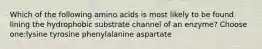 Which of the following amino acids is most likely to be found lining the hydrophobic substrate channel of an enzyme? Choose one:lysine tyrosine phenylalanine aspartate