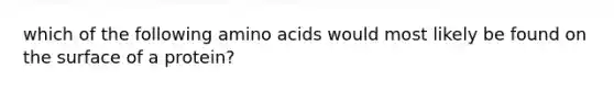 which of the following amino acids would most likely be found on the surface of a protein?