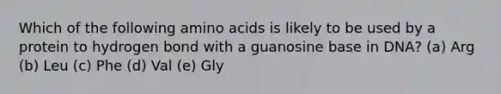 Which of the following amino acids is likely to be used by a protein to hydrogen bond with a guanosine base in DNA? (a) Arg (b) Leu (c) Phe (d) Val (e) Gly