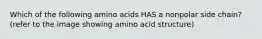 Which of the following amino acids HAS a nonpolar side chain? (refer to the image showing amino acid structure)