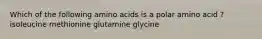 Which of the following amino acids is a polar amino acid ? isoleucine methionine glutamine glycine