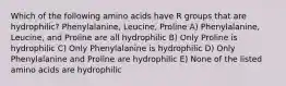 Which of the following amino acids have R groups that are hydrophilic? Phenylalanine, Leucine, Proline A) Phenylalanine, Leucine, and Proline are all hydrophilic B) Only Proline is hydrophilic C) Only Phenylalanine is hydrophilic D) Only Phenylalanine and Proline are hydrophilic E) None of the listed amino acids are hydrophilic