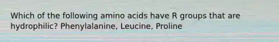 Which of the following amino acids have R groups that are hydrophilic? Phenylalanine, Leucine, Proline