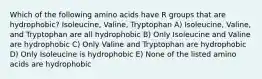 Which of the following amino acids have R groups that are hydrophobic? Isoleucine, Valine, Tryptophan A) Isoleucine, Valine, and Tryptophan are all hydrophobic B) Only Isoleucine and Valine are hydrophobic C) Only Valine and Tryptophan are hydrophobic D) Only Isoleucine is hydrophobic E) None of the listed amino acids are hydrophobic