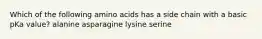 Which of the following amino acids has a side chain with a basic pKa value? alanine asparagine lysine serine