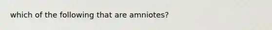 which of the following that are amniotes?