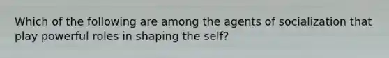 Which of the following are among the agents of socialization that play powerful roles in shaping the self?