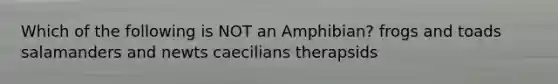 Which of the following is NOT an Amphibian? frogs and toads salamanders and newts caecilians therapsids