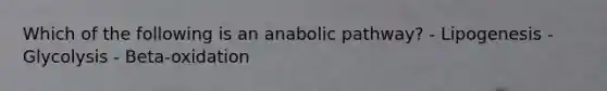 Which of the following is an anabolic pathway? - Lipogenesis - Glycolysis - Beta-oxidation