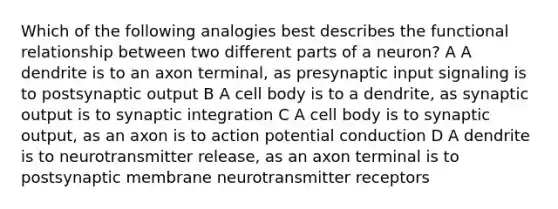 Which of the following analogies best describes the functional relationship between two different parts of a neuron? A A dendrite is to an axon terminal, as presynaptic input signaling is to postsynaptic output B A cell body is to a dendrite, as synaptic output is to synaptic integration C A cell body is to synaptic output, as an axon is to action potential conduction D A dendrite is to neurotransmitter release, as an axon terminal is to postsynaptic membrane neurotransmitter receptors