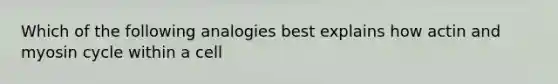 Which of the following analogies best explains how actin and myosin cycle within a cell