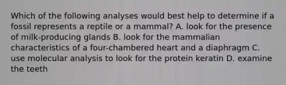 Which of the following analyses would best help to determine if a fossil represents a reptile or a mammal? A. look for the presence of milk-producing glands B. look for the mammalian characteristics of a four-chambered heart and a diaphragm C. use molecular analysis to look for the protein keratin D. examine the teeth