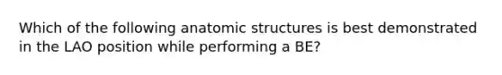 Which of the following anatomic structures is best demonstrated in the LAO position while performing a BE?