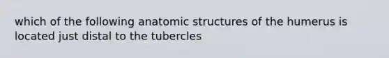 which of the following anatomic structures of the humerus is located just distal to the tubercles