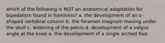 which of the following is NOT an anatomical adaptation for bipedalism found in hominins? a. the development of an s-shaped vertebral column b. the foramen magnum moving under the skull c. widening of the pelvis d. development of a valgus angle at the knee e. the development of a single arched foot