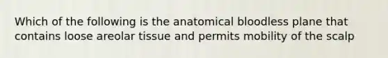 Which of the following is the anatomical bloodless plane that contains loose areolar tissue and permits mobility of the scalp