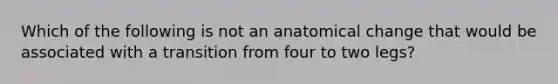 Which of the following is not an anatomical change that would be associated with a transition from four to two legs?