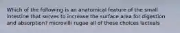 Which of the following is an anatomical feature of the small intestine that serves to increase the surface area for digestion and absorption? microvilli rugae all of these choices lacteals