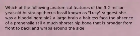 Which of the following anatomical features of the 3.2-million-year-old Australopithecus fossil known as "Lucy" suggest she was a bipedal hominid? a large brain a hairless face the absence of a prehensile tail a much shorter hip bone that is broader from front to back and wraps around the side