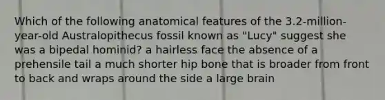 Which of the following anatomical features of the 3.2-million-year-old Australopithecus fossil known as "Lucy" suggest she was a bipedal hominid? a hairless face the absence of a prehensile tail a much shorter hip bone that is broader from front to back and wraps around the side a large brain