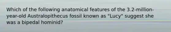 Which of the following anatomical features of the 3.2-million-year-old Australopithecus fossil known as "Lucy" suggest she was a bipedal hominid?