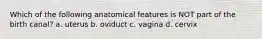 Which of the following anatomical features is NOT part of the birth canal? a. uterus b. oviduct c. vagina d. cervix