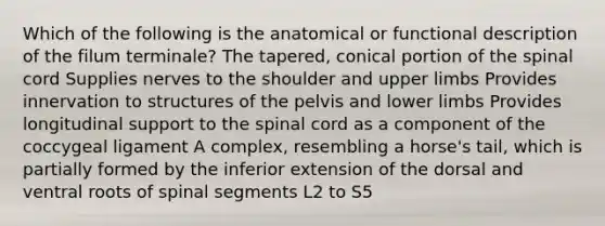 Which of the following is the anatomical or functional description of the filum terminale? The tapered, conical portion of <a href='https://www.questionai.com/knowledge/kkAfzcJHuZ-the-spinal-cord' class='anchor-knowledge'>the spinal cord</a> Supplies nerves to the shoulder and <a href='https://www.questionai.com/knowledge/kJyXBSF4I2-upper-limb' class='anchor-knowledge'>upper limb</a>s Provides innervation to structures of the pelvis and <a href='https://www.questionai.com/knowledge/kF4ILRdZqC-lower-limb' class='anchor-knowledge'>lower limb</a>s Provides longitudinal support to the spinal cord as a component of the coccygeal ligament A complex, resembling a horse's tail, which is partially formed by the inferior extension of the dorsal and ventral roots of spinal segments L2 to S5