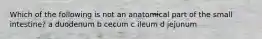 Which of the following is not an anatomical part of the small intestine? a duodenum b cecum c ileum d jejunum