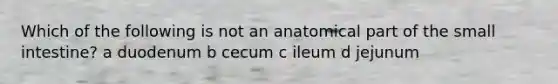 Which of the following is not an anatomical part of the small intestine? a duodenum b cecum c ileum d jejunum