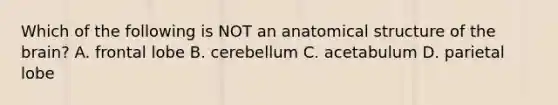 Which of the following is NOT an anatomical structure of <a href='https://www.questionai.com/knowledge/kLMtJeqKp6-the-brain' class='anchor-knowledge'>the brain</a>? A. frontal lobe B. cerebellum C. acetabulum D. parietal lobe