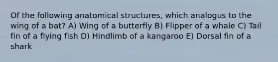 Of the following anatomical structures, which analogus to the wing of a bat? A) Wing of a butterfly B) Flipper of a whale C) Tail fin of a flying fish D) Hindlimb of a kangaroo E) Dorsal fin of a shark