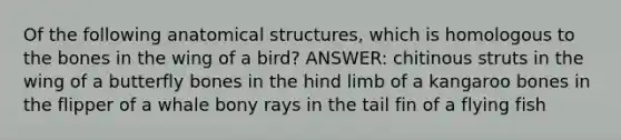 Of the following anatomical structures, which is homologous to the bones in the wing of a bird? ANSWER: chitinous struts in the wing of a butterfly bones in the hind limb of a kangaroo bones in the flipper of a whale bony rays in the tail fin of a flying fish