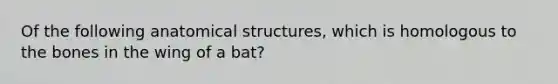 Of the following anatomical structures, which is homologous to the bones in the wing of a bat?