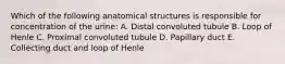 Which of the following anatomical structures is responsible for concentration of the urine: A. Distal convoluted tubule B. Loop of Henle C. Proximal convoluted tubule D. Papillary duct E. Collecting duct and loop of Henle