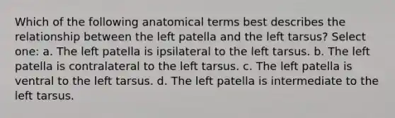 Which of the following anatomical terms best describes the relationship between the left patella and the left tarsus? Select one: a. The left patella is ipsilateral to the left tarsus. b. The left patella is contralateral to the left tarsus. c. The left patella is ventral to the left tarsus. d. The left patella is intermediate to the left tarsus.