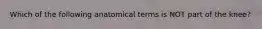 Which of the following anatomical terms is NOT part of the knee?