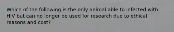 Which of the following is the only animal able to infected with HIV but can no longer be used for research due to ethical reasons and cost?