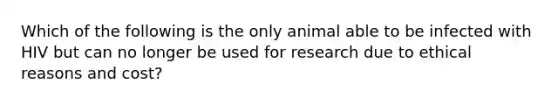 Which of the following is the only animal able to be infected with HIV but can no longer be used for research due to ethical reasons and cost?