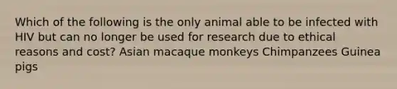 Which of the following is the only animal able to be infected with HIV but can no longer be used for research due to ethical reasons and cost? Asian macaque monkeys Chimpanzees Guinea pigs