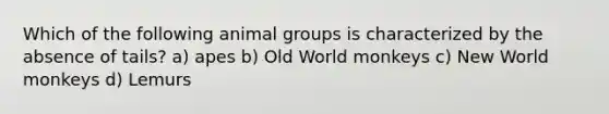 Which of the following animal groups is characterized by the absence of tails? a) apes b) Old World monkeys c) New World monkeys d) Lemurs