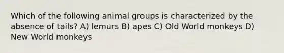 Which of the following animal groups is characterized by the absence of tails? A) lemurs B) apes C) Old World monkeys D) New World monkeys