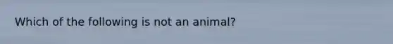 Which of the following is not an animal?