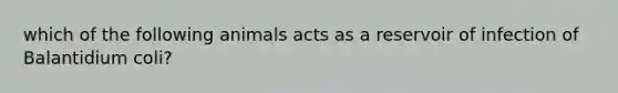 which of the following animals acts as a reservoir of infection of Balantidium coli?