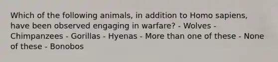 Which of the following animals, in addition to Homo sapiens, have been observed engaging in warfare? - Wolves - Chimpanzees - Gorillas - Hyenas - More than one of these - None of these - Bonobos