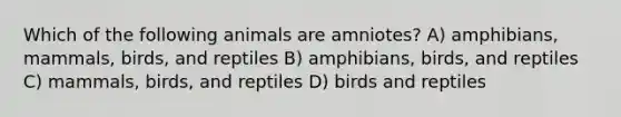 Which of the following animals are amniotes? A) amphibians, mammals, birds, and reptiles B) amphibians, birds, and reptiles C) mammals, birds, and reptiles D) birds and reptiles