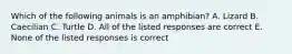 Which of the following animals is an amphibian? A. Lizard B. Caecilian C. Turtle D. All of the listed responses are correct E. None of the listed responses is correct