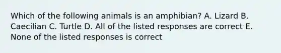 Which of the following animals is an amphibian? A. Lizard B. Caecilian C. Turtle D. All of the listed responses are correct E. None of the listed responses is correct